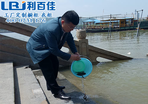 放生有感——利百佳帶您放飛夢想，領悟生活